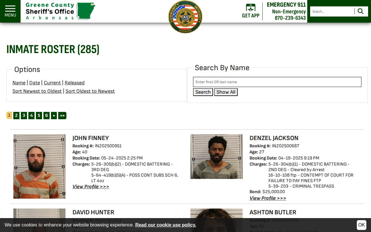 Official Greene County inmate roster search interface
